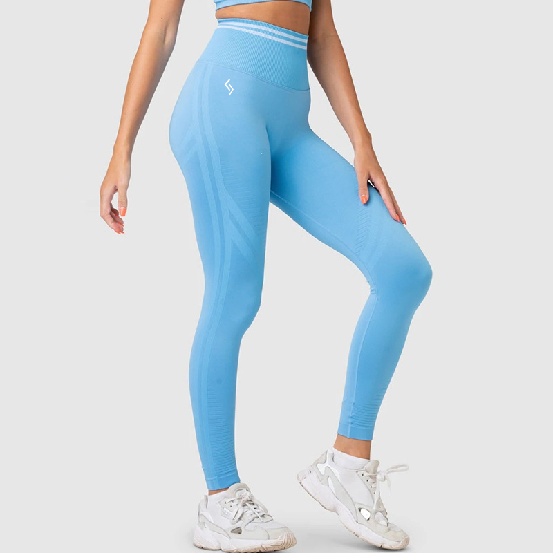 Earth Seamless Leggings Sky
